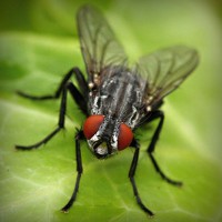 /album/chengdoucase/photolia-a01-jpg/