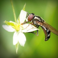 /album/chengdoucase/photolia-a02-jpg/