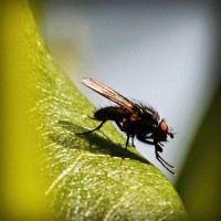 /album/chengdoucase/photolia-a04-jpg/