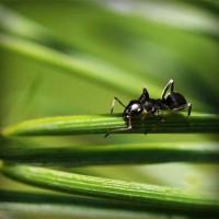 /album/chengdoucase/photolia-a05-jpg/