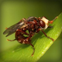 /album/chengdoucase/photolia-a06-jpg/