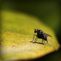 /album/chengdoucase/photolia-a07-jpg/