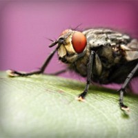 /album/chengdoucase/photolia-a08-jpg/